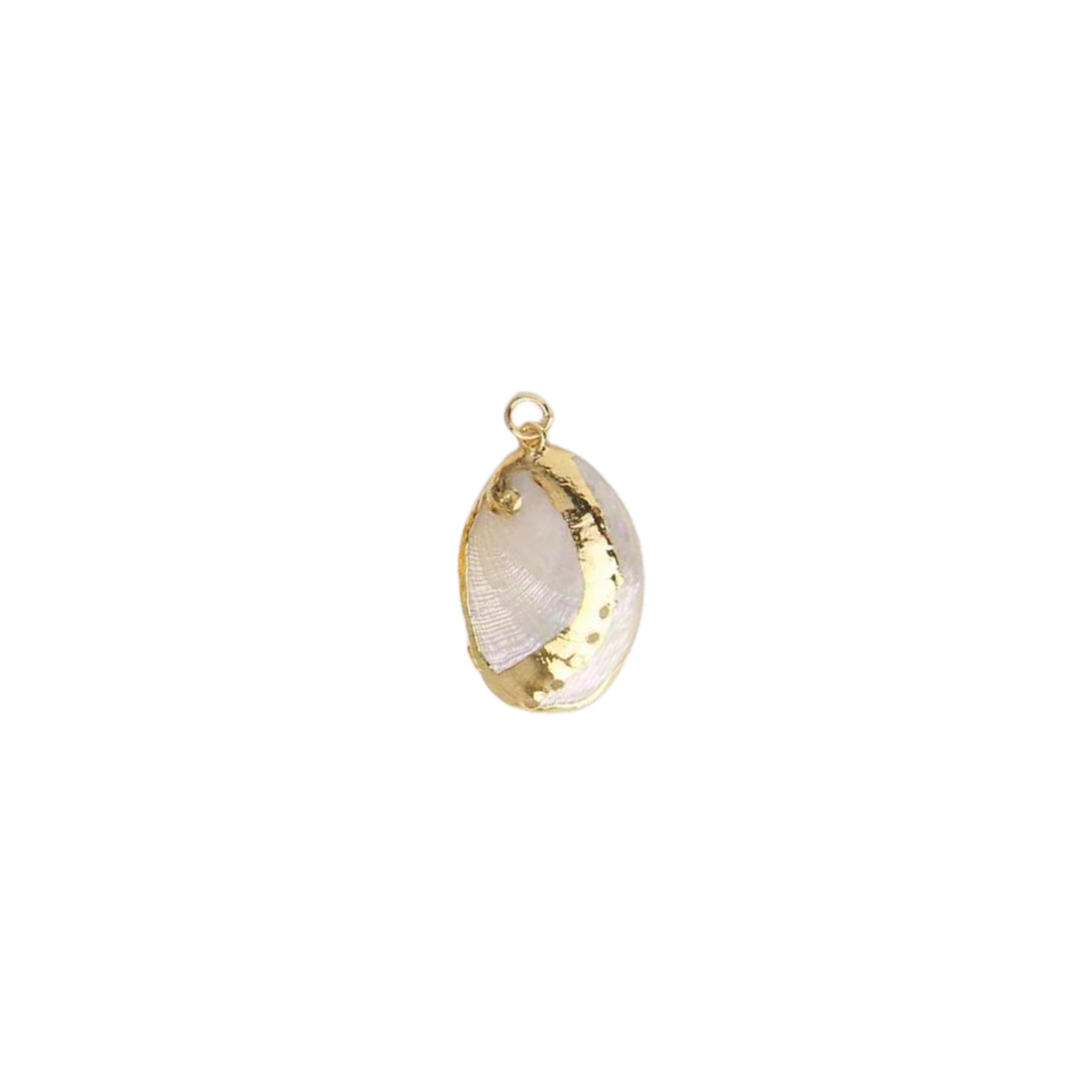 Small Gold Rimmed Clam Shell Charm