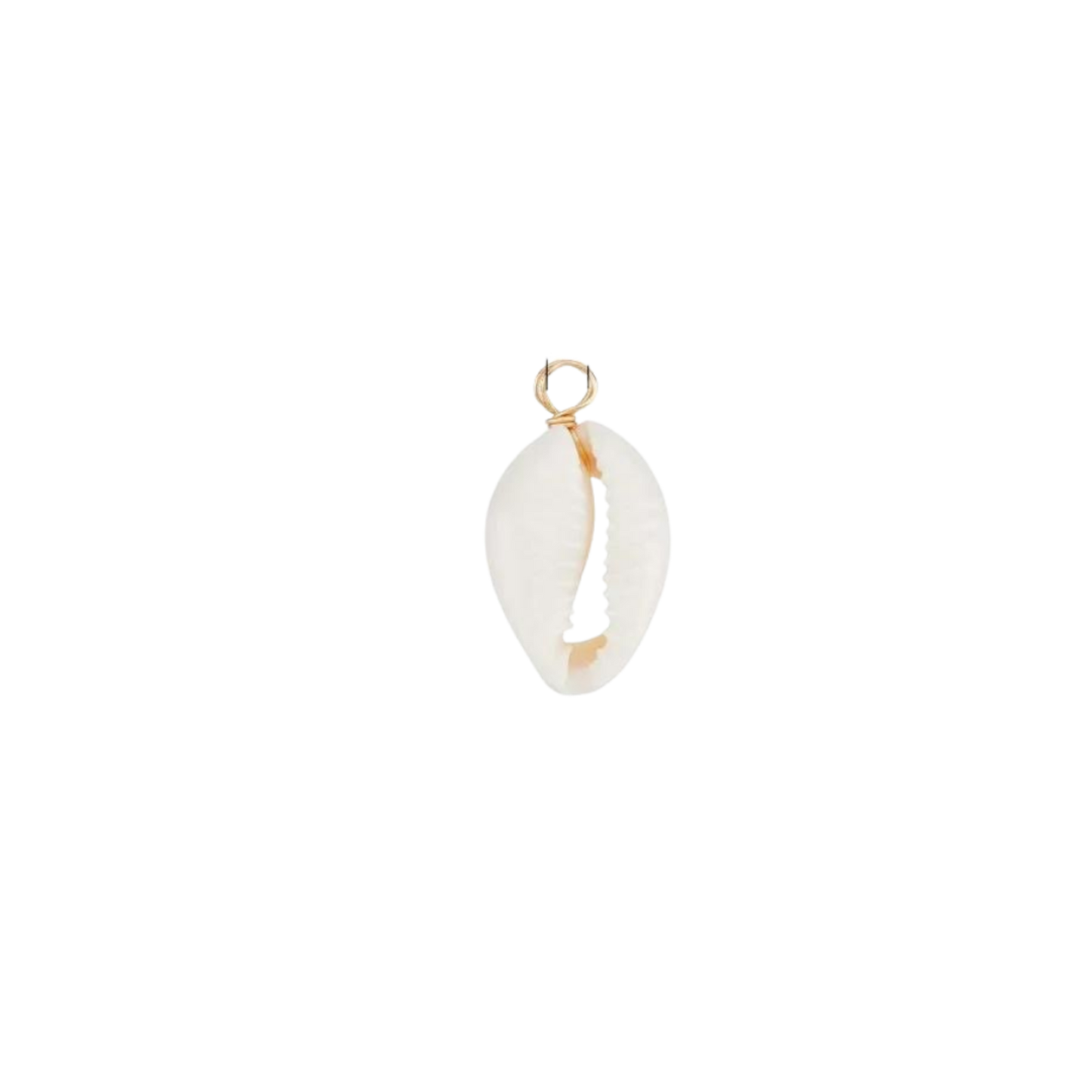 Small Shell Charm